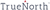 True North Logotype