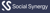 Social Synergy Logotype