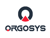 Orgosys Private Limited Logotype
