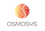 Osmosys Software Solutions Private Limited Logotype