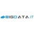 BigData.it Logotype