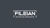 Fileian Ventures Private Limited Logotype