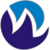 Webskynet IT Solution Logotype