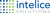 Business IT Solutions & IT Services Provider in Washington, DC Metro Area | Intelice Solutions Logotype