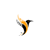 Digital Nest Logotype