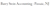 Barry Stein Accounting Logotype