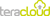 Teracloud LLC. Logotype