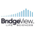 BridgeView Life Sciences Logotype