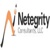 Netegrity Consultants, LLC Logotype