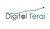 Digital Terai Logotype