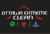 Ottawa Extreme Clean Logotype