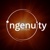 Ingenuity Partners Logotype