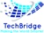 TechBridge Consultancy Services LLP Logotype