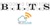 Branham IT Solutions, LLC Logotype