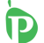 The Paro Consulting Group Logotype