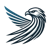 Hawk Insight LLC Logotype