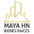 MAYA HN BIENES RAÍCES Logotype