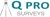 Q Pro Surveys Logotype