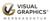 Visual Graphics Logotype
