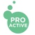 Proactive Marketing Solutions Logotype