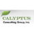 Calyptus Consulting Group, Inc. Logotype