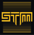 STM Cyber Logotype