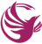 Phoenix Virtual Solutions Logotype