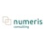 Numeris Consulting Logotype
