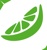 Fresh Lime Soft Logotype
