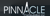 Pinnacle Computation, Inc. Logotype