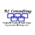 RL Information Consulting LLC Logotype