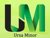 Accounting Office URSA MINOR Logotype