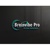 brainvibepvs Logotype