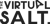 The Virtual Salt Logotype