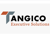 Tangico Executive Solutions Corp. Logotype