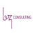 BZ Consulting Logotype