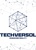 Techversol inc Logotype