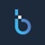 Bigbond Logotype