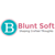Blunt Soft LLC Logotype