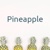 Pineapple Sustainable Partnerships Logotype