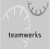 TeamWerks Logotype