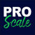 Project Scale Logotype