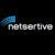 Netsertive Logotype
