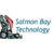 Salmon Bay Technology Logotype