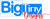 BigTinyDesigns Logotype