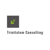 Trinitatem Consulting Logotype