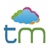 TechMatrix Consulting Logotype