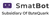 SmatBot Logotype