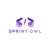 Sprint Owl Logotype