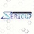 Serious Web Logotype
